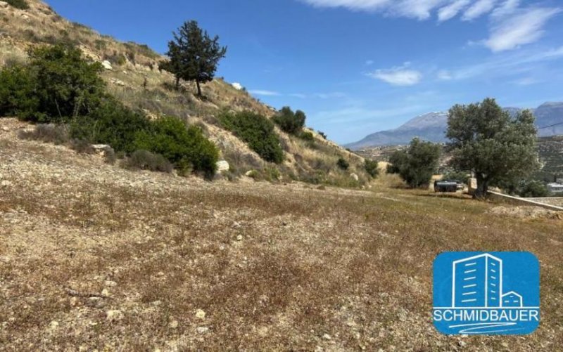 Pitsidia Kreta, Pitsidia: Grundstück am Ortsrand zu verkaufen Grundstück kaufen